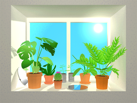 Plants