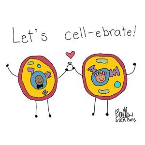 Let's cell-ebrate this school year!